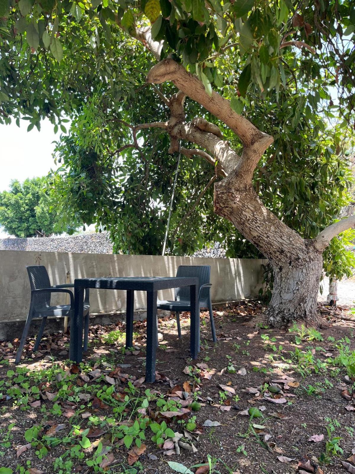 Fincaecoamaro Puerto de Santiago  Εξωτερικό φωτογραφία