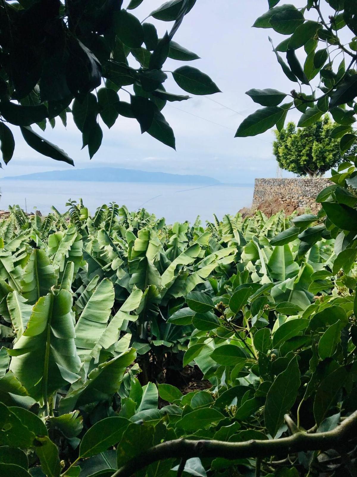 Fincaecoamaro Puerto de Santiago  Εξωτερικό φωτογραφία